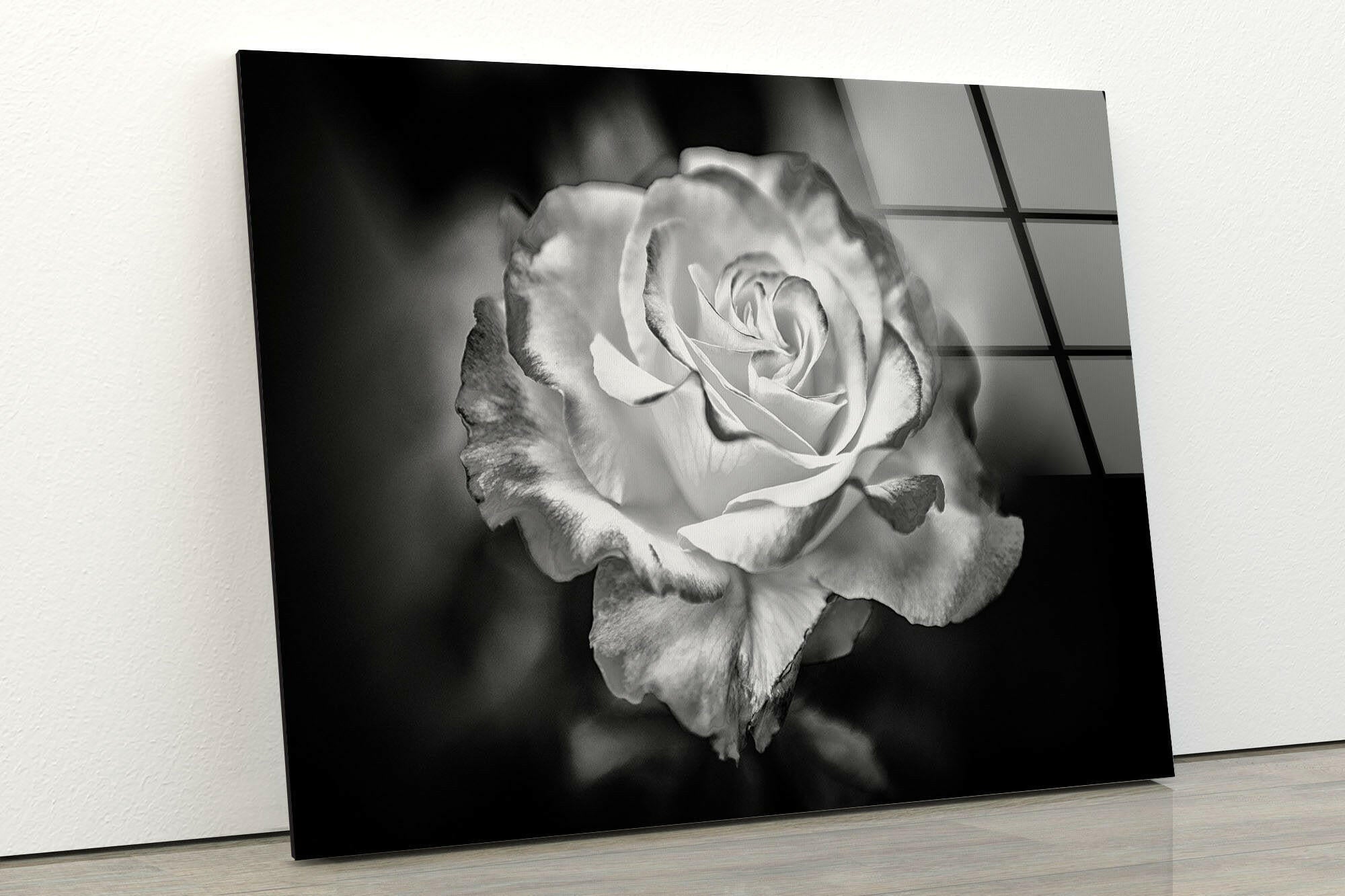 Elegant Black and White Rose Glass Wall Art - Modern Home Decor for Living Room, Bedroom & Office