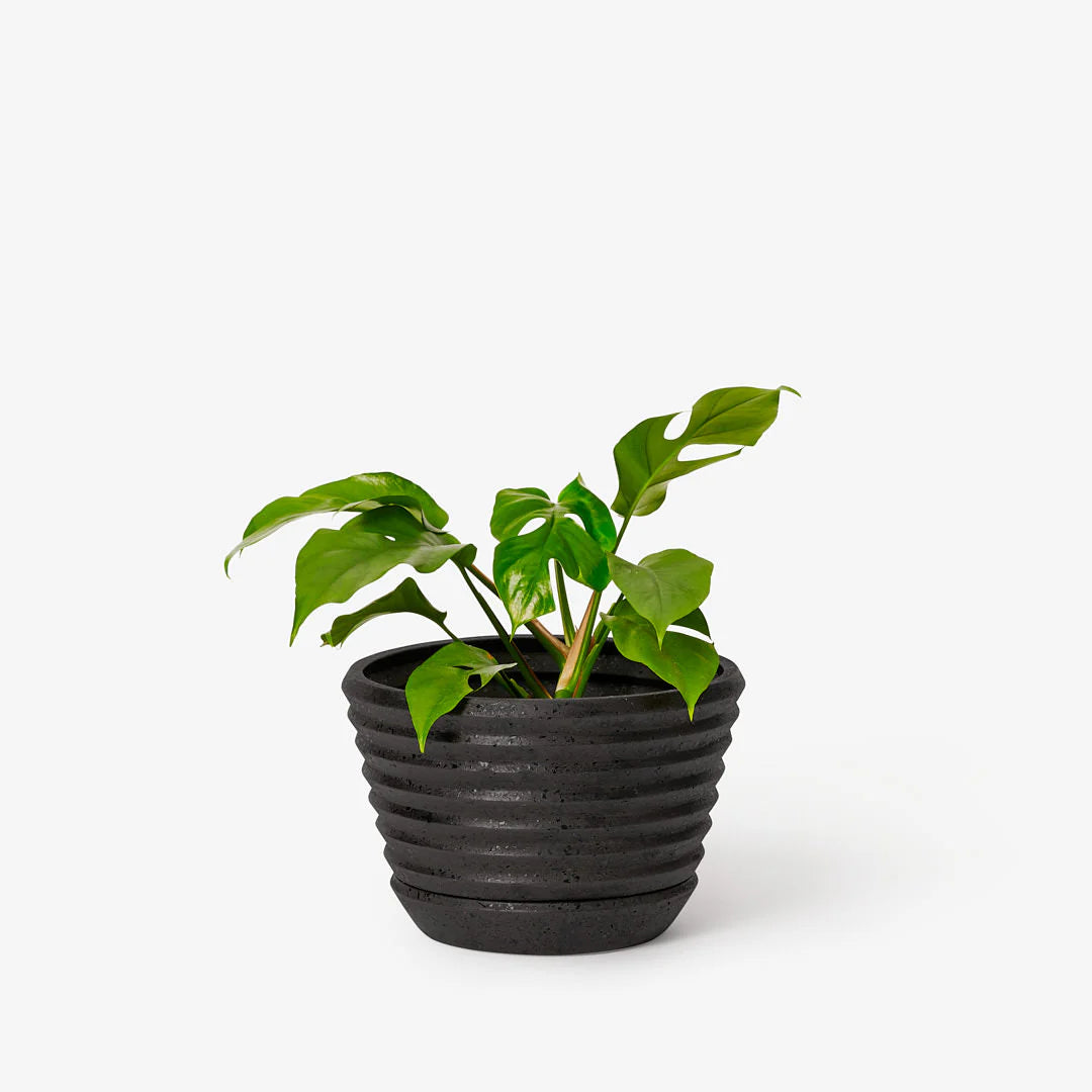 Racine Planter - Premium Indoor/Outdoor Plant Pots for Home & Garden Decor - Perfect for Succulents, Herbs, and Flowers