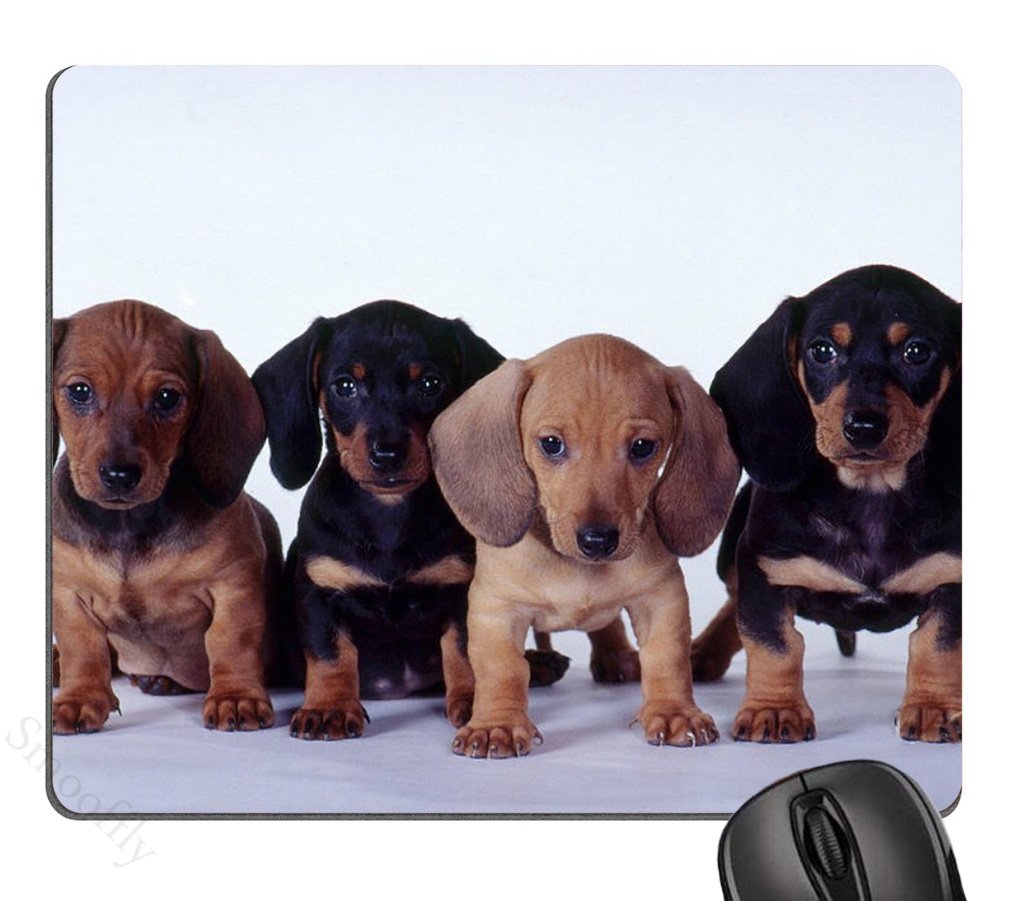 Cute Dachshund Puppies Mouse Pad - Non-Slip Gaming Mousepad for Dogs Lovers - Perfect for Office, Home & Gaming Desks