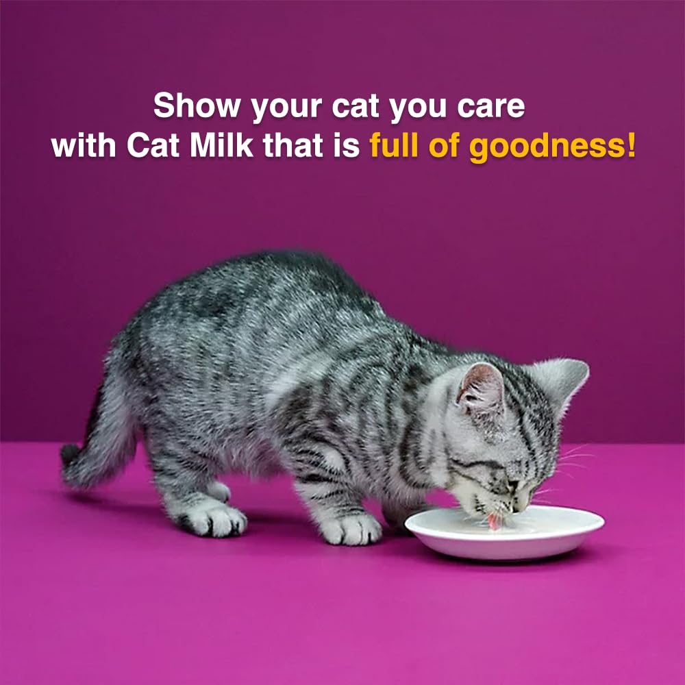 Premium Kitten Milk & Food Pouches Bulk Bundle for 2-12 Month Old Kittens - 6x85g Poultry Feast in Gravy, 3x200ml Kitten Milk Bottles, 55g Milky Treats & Koala Pet Toy - Ideal for Weaning, Feeding & Playtime
