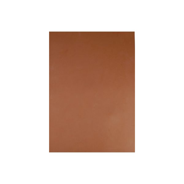 Reelskin Darker Tone Practice Skin A4 Sheet - Tattoo Training, Permanent Makeup & Needle Practice for Beginners & Professionals - Perfect for Home, Studio & Tattoo School Use