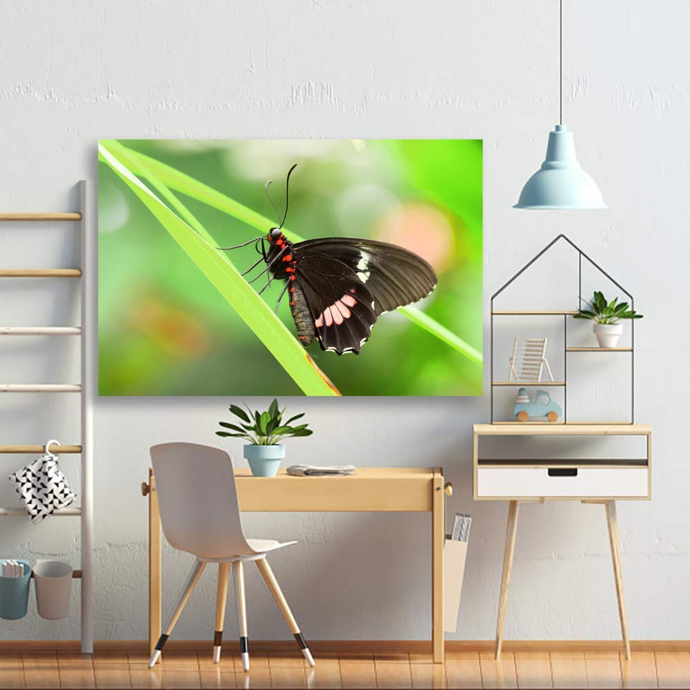 Beautiful Butterfly Giclee Canvas Wall Art - 12x18 Inches Handmade Painting for Bedroom, Living Room, Home & Office Decoration