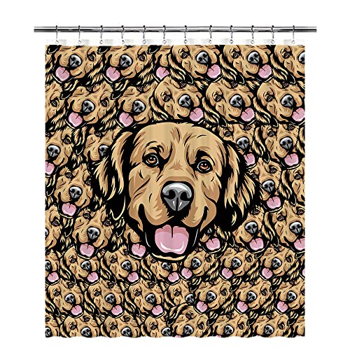 Golden Retriever-1
