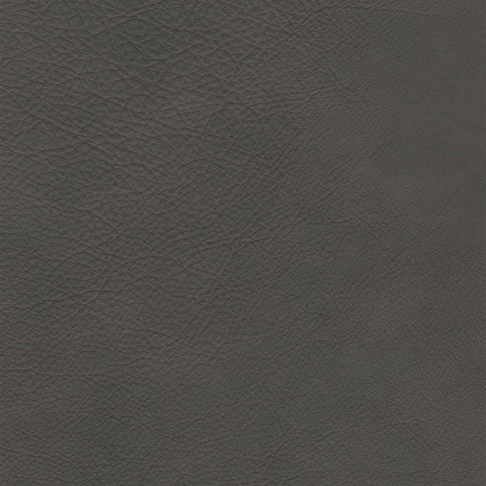 Premium Alameda Anthracite Coal - High-Quality Heating Fuel for Home & Industry | Efficient, Clean Burning for Fireplaces, Stoves & Boilers
