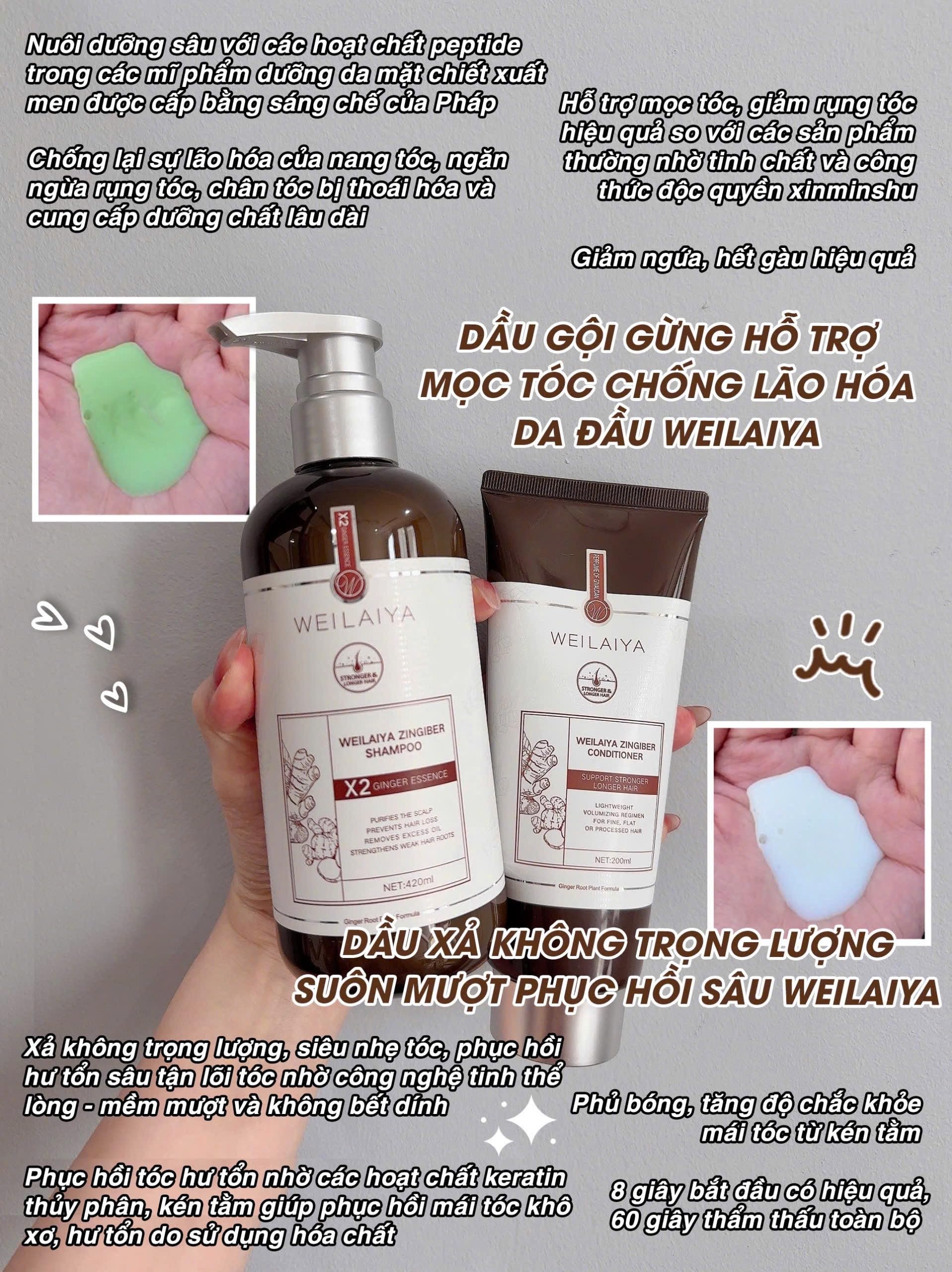 Luxury Zingiber Shampoo and Conditioner Set - Natural Ginger Hair Care for Shine & Growth - Perfect for Dry, Damaged Hair at Home or Salon Use