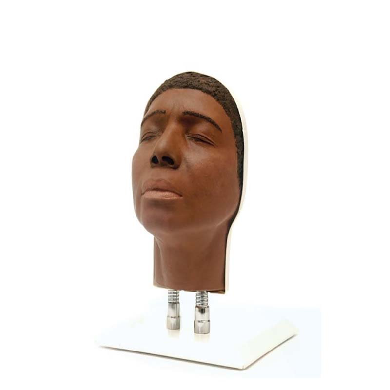Professional Facial Injection Head for Mid-Age Dark Skin Women - Version C | Ideal for Medical Training, Aesthetic Practice & Dermatology Education