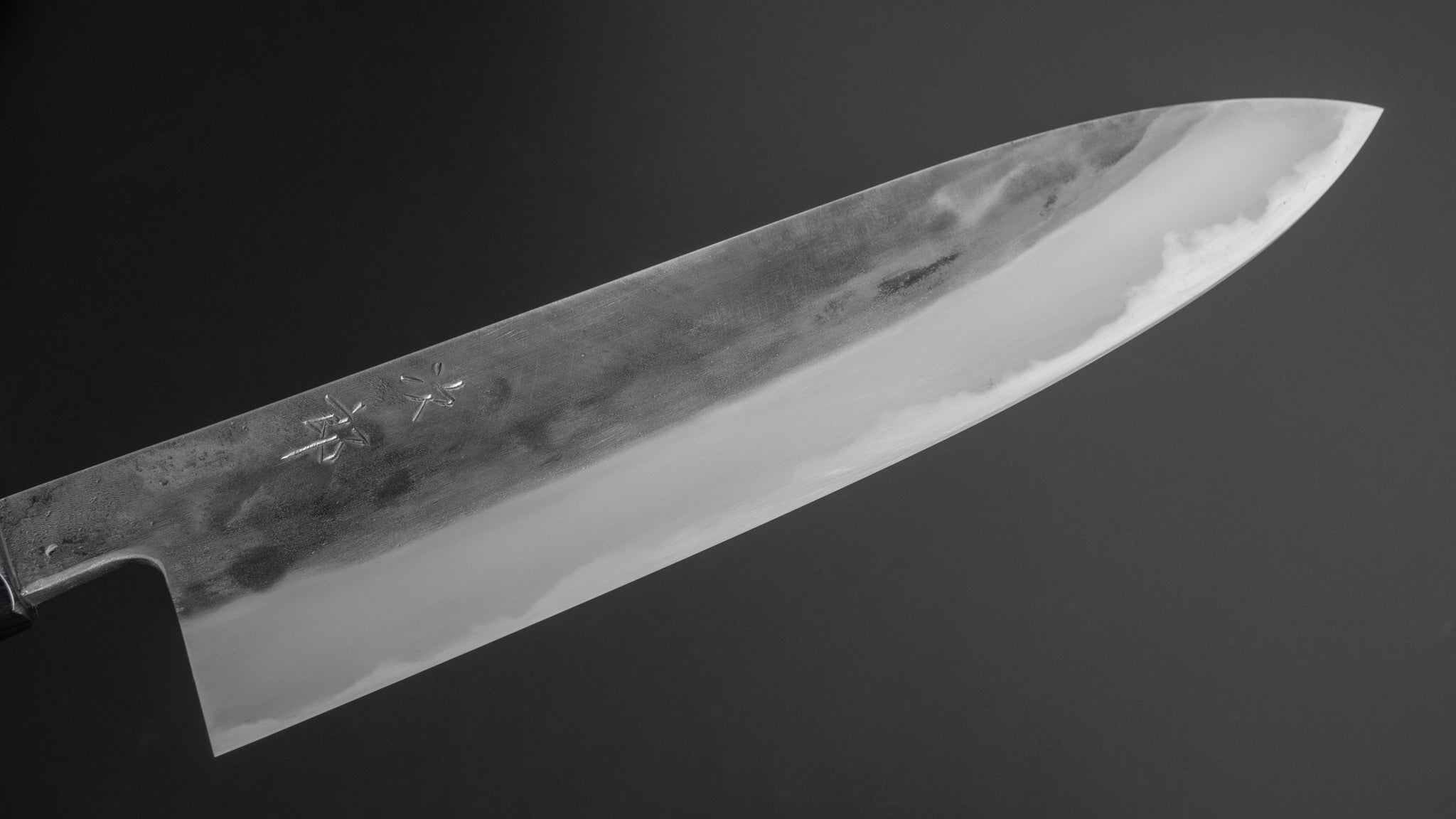 Premium Jiro Tsuchime Wa Gyuto 240mm Japanese Chef Knife with Taihei Tagayasan Handle (#218) - Perfect for Professional Chefs & Home Cooking Enthusiasts