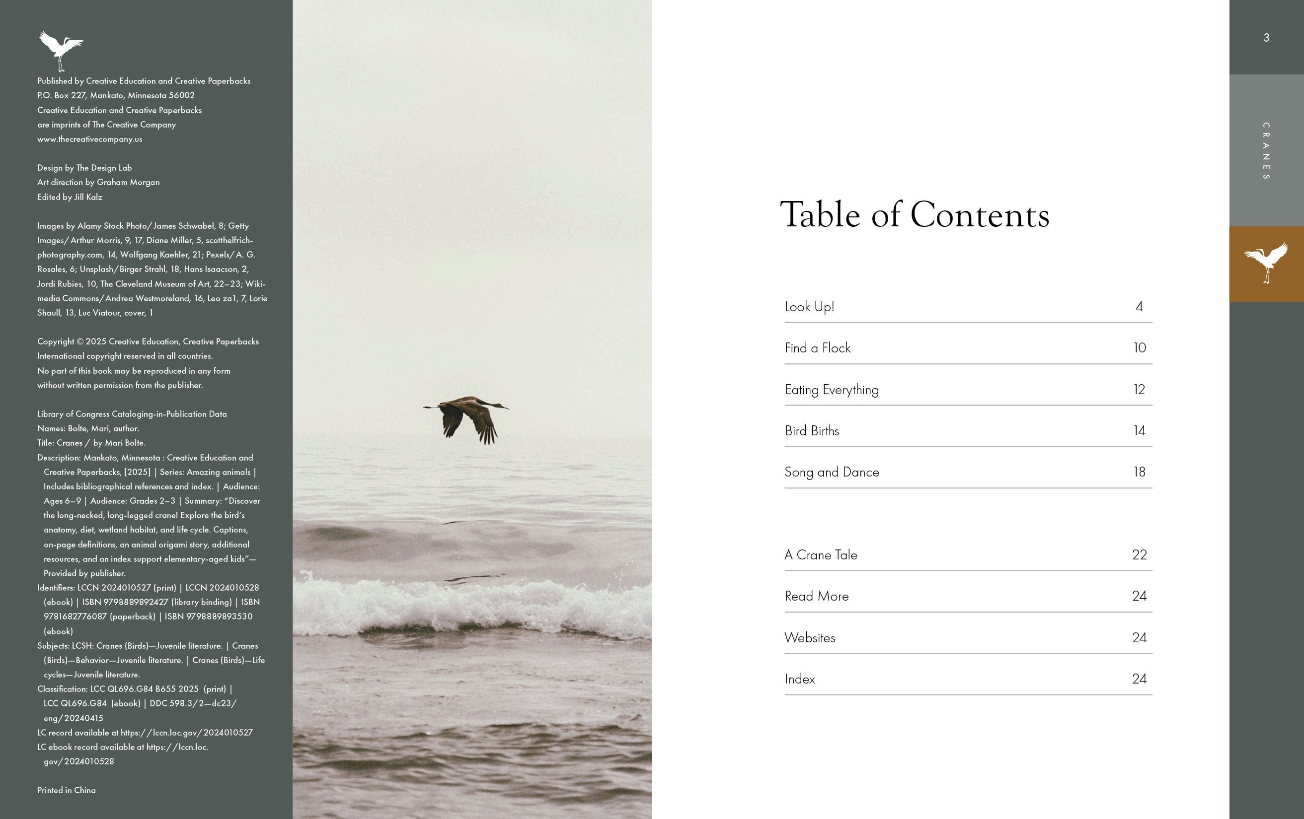 2025 Amazing Cranes: Stunning Wildlife Photography & Bird Watching Guide | Perfect for Nature Lovers & Outdoor Enthusiasts