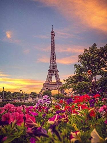 5D DIY Diamond Painting Kit - Round Full Drill Flowers & Eiffel Tower Design for Adults & Kids (80x100cm/32x40in) | Large Diamond Embroidery Art, Crystal Cross Stitch Craft | Perfect for Home Wall Decor, Gift Giving & Relaxation Therapy