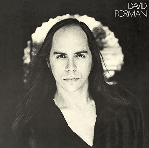 David Forman - Premium Handcrafted Leather Wallets for Men | Durable & Stylish RFID-Blocking Bifold Wallet | Perfect for Everyday Use, Travel & Gifting