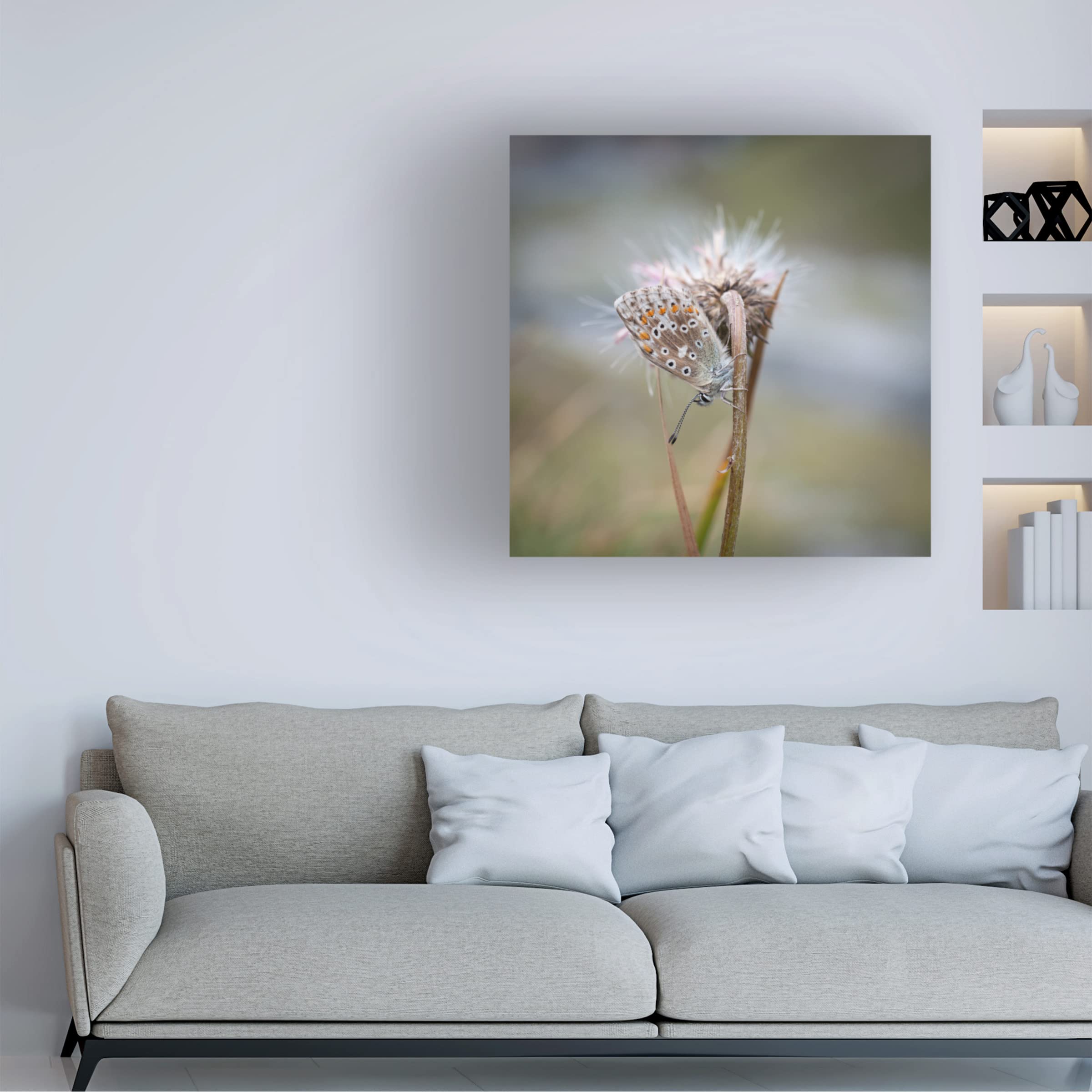 Trademark Fine Art 'Lycaenidae' Canvas Wall Art by David Huber - Beautiful Butterfly Painting for Living Room, Bedroom & Office Decor