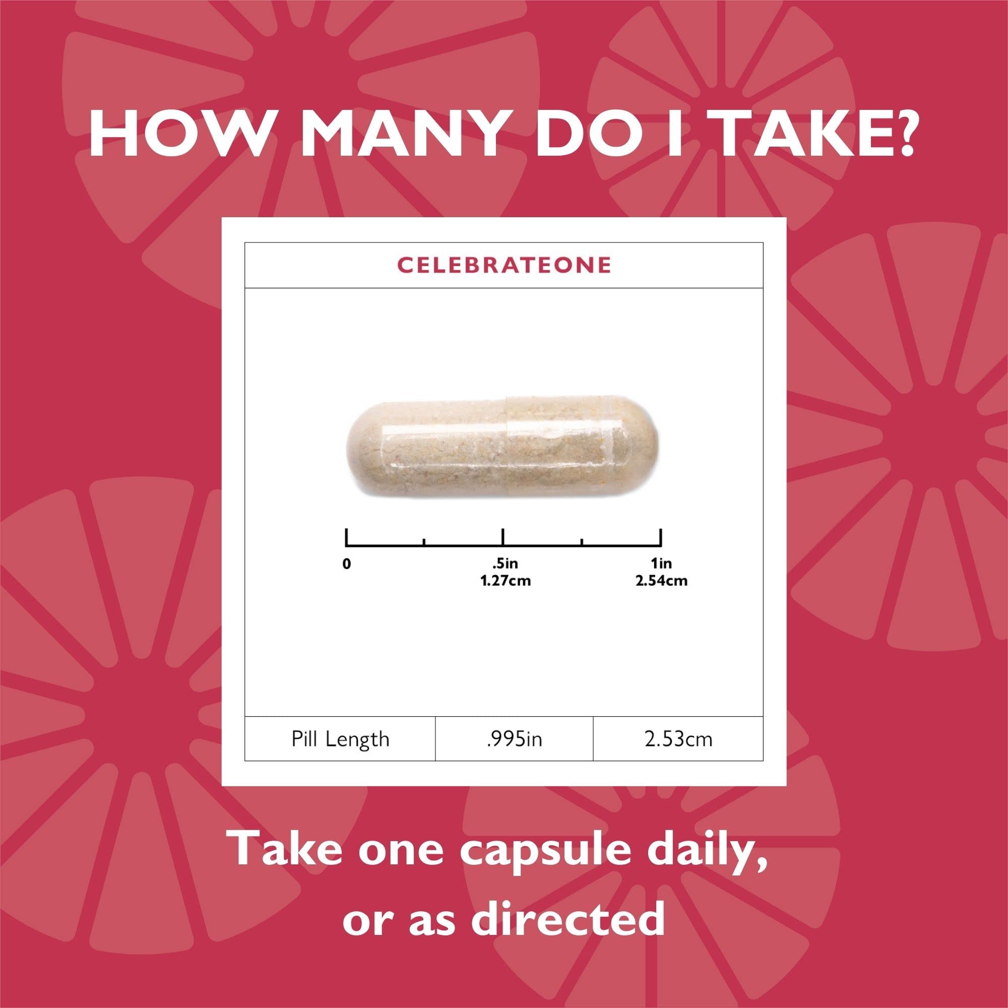 CelebrateONE Iron-Free Bariatric Multivitamin - One Daily Essential Vitamin & Mineral Supplement for Gastric Bypass & Sleeve Gastrectomy (30 Capsules) - Supports Post-Surgery Recovery & Daily Nutrition