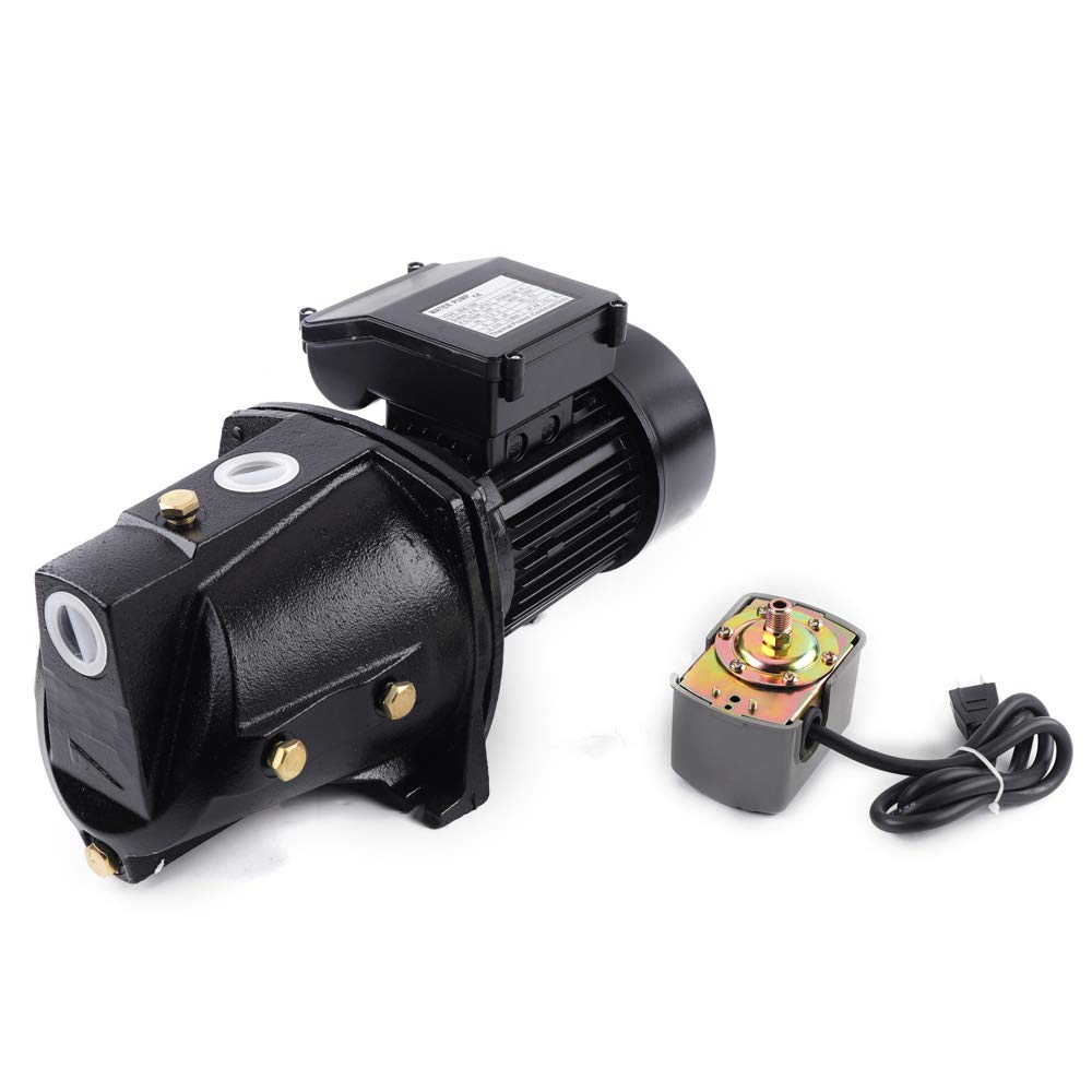 1 HP Cast Iron Shallow Well Jet Pump with Pressure Switch - 1