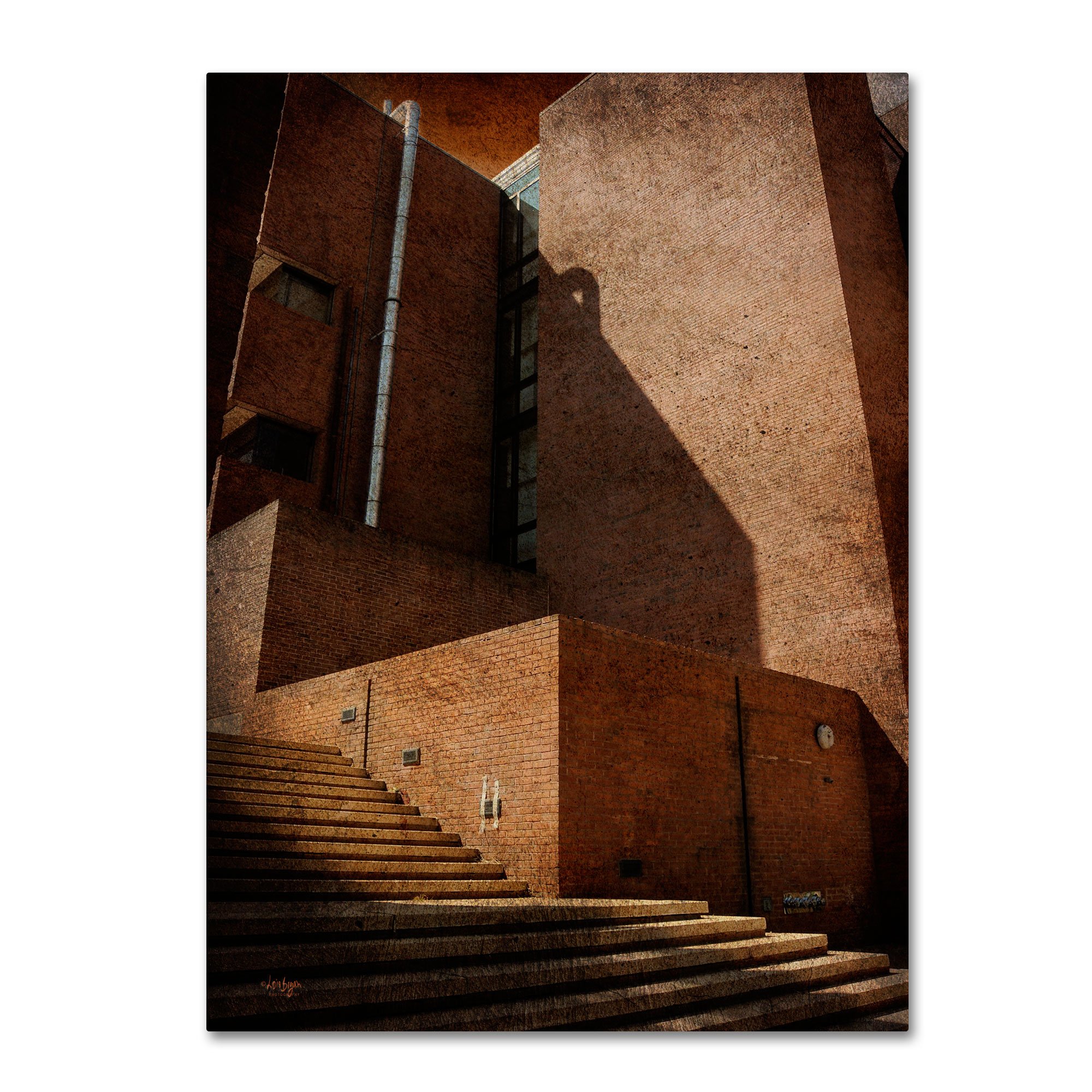 Trademark Fine Art Shadow and Light Canvas Wall Art by Lois Bryan, 14x19 Inches - Modern Home Decor for Living Room, Bedroom & Office
