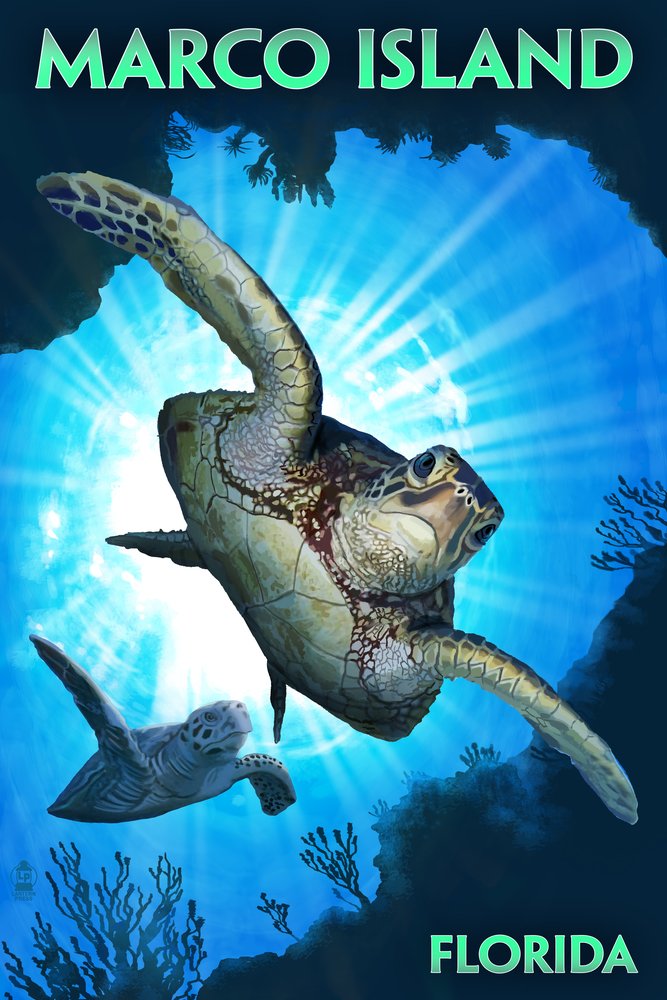 Signed Sea Turtle Diving Art Print (24x36) - Marco Island Florida Wall Decor Poster | Perfect for Beach House, Ocean Theme Bedroom & Coastal Living Room Decor