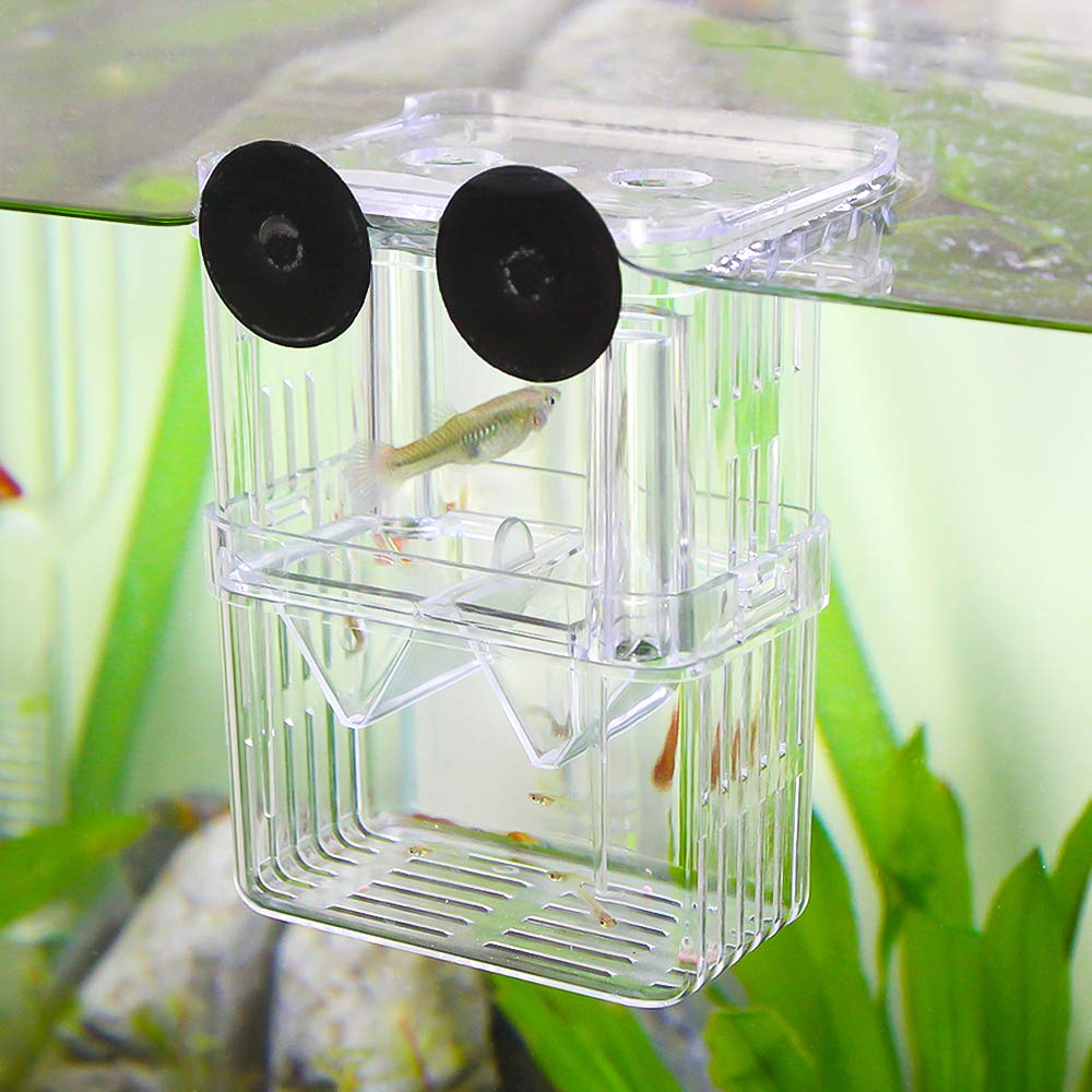 Senzeal Aquarium Fish Breeder Box - Plastic Isolation Breeding & Hatching Incubator for Baby Fish, Shrimp, Clownfish, Guppy Fry | Perfect for Safe Breeding in Home Aquariums & Fish Tanks