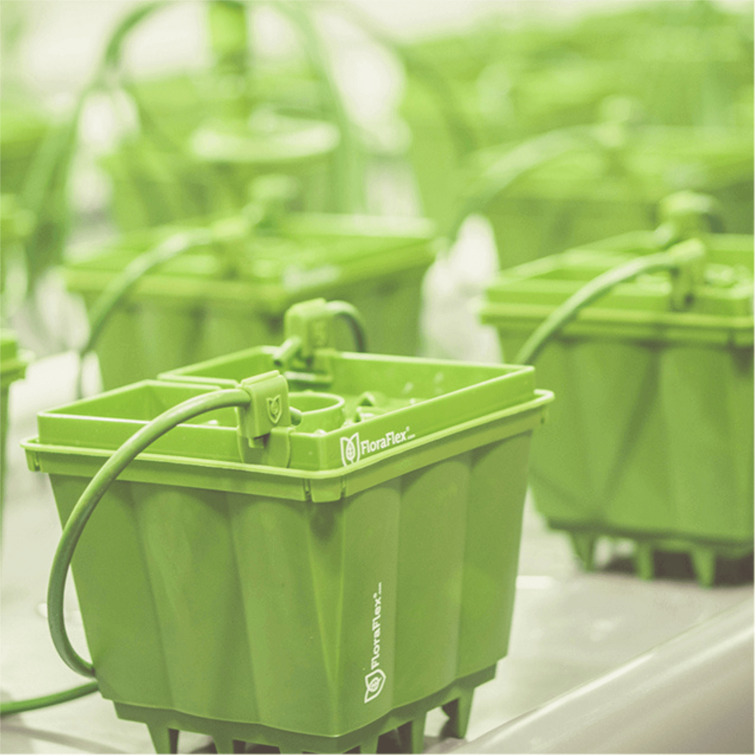 FloraFlex PotPro 6 Pot Hydroponic Grow System - Case of 100 (Ideal for Indoor Gardening, Greenhouse Cultivation & Commercial Grow Operations)
