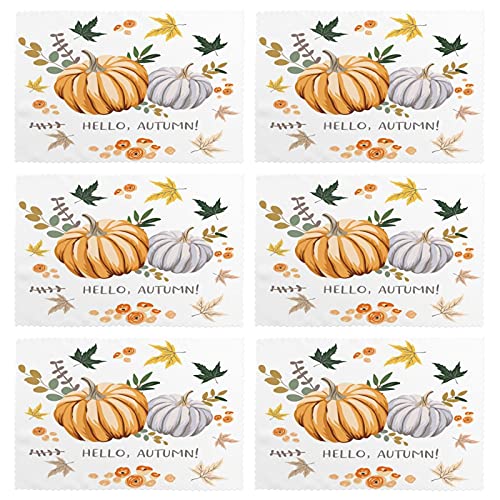 Thanksgiving Pumpkins Orange and Gray