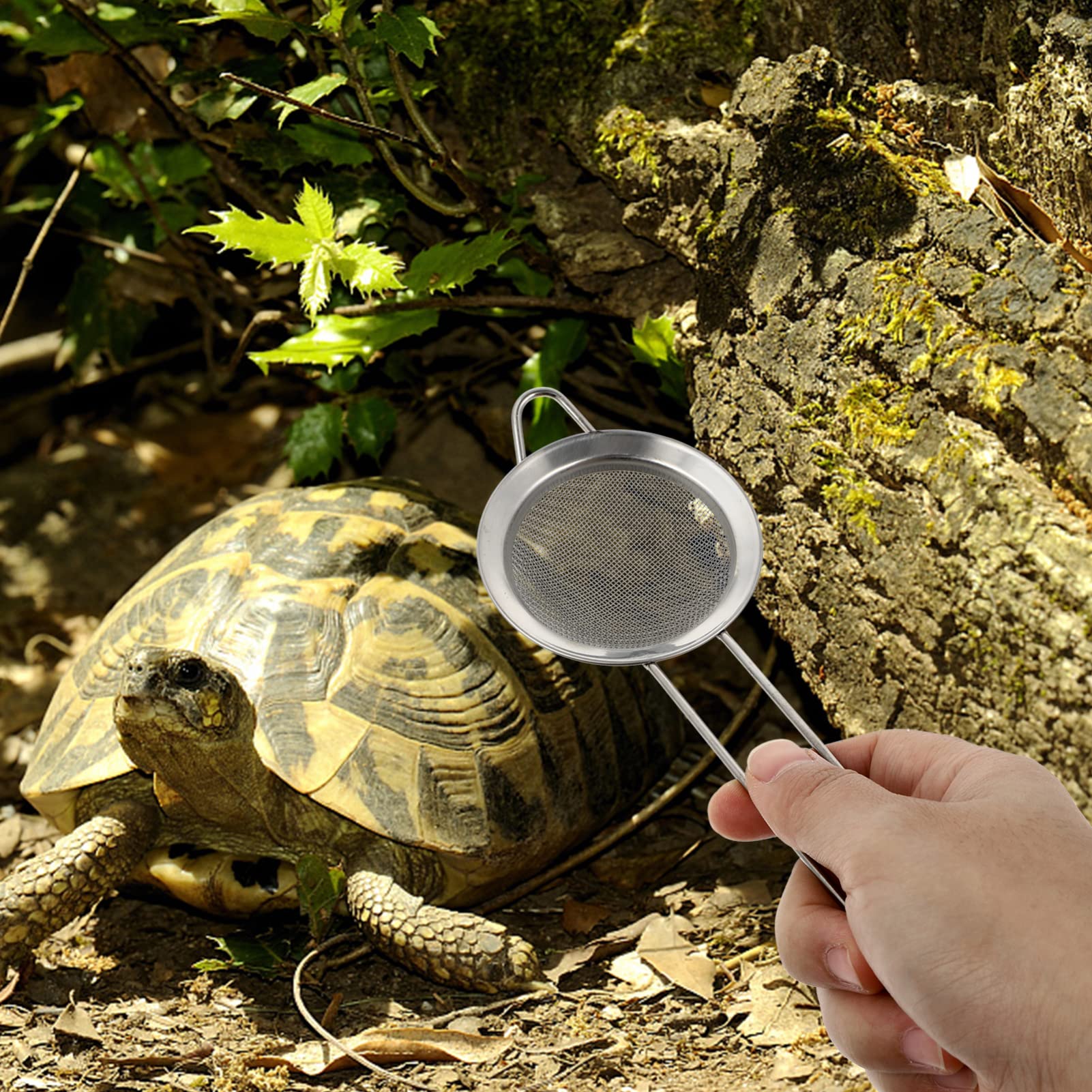 POPETPOP 2-Pack Stainless Steel Reptile Sand Shovel - Terrarium Cleaning Tool for Bearded Dragons, Reptisoil & Cat Litter - Durable Metal Scoop for Reptile & Small Animal Habitat Maintenance (Great for Cage Cleaning & Waste Removal)