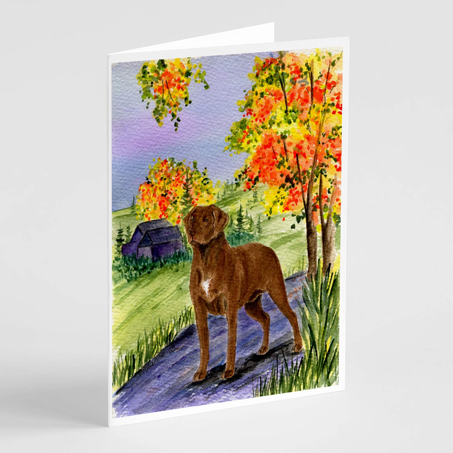 Chesapeake Bay Retriever Blank Greeting Cards - Pack of 8 A7 Size (5x7) Note Cards with Envelopes | Dog Lover Stationery for Birthdays, Thank You Notes & Special Occasions