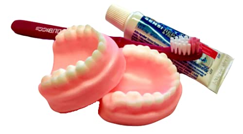Denture Soap Set - False Teeth Cleaning Soap, Funny Gag Gift & Prank Novelty - Choose Your Scent (Lavender/Mint/Citrus) - Perfect for Birthday Pranks, Retirement Gags & Dental Office Humor - FREE SHIPPING