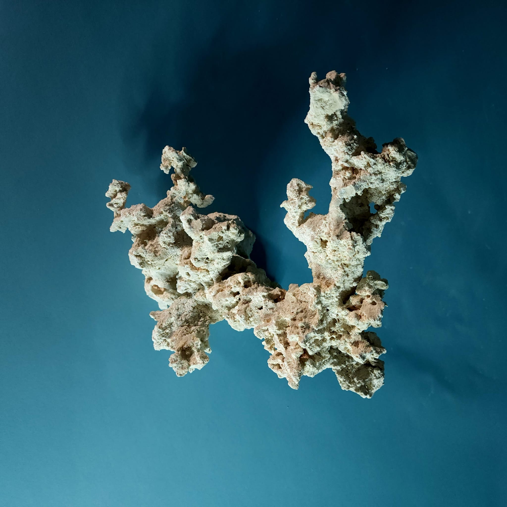 Premium Custom Dry Live Rock for Aquascaping - Natural Reef Aquarium Decor #06 | Perfect for Saltwater Tanks, Coral Propagation & Marine Habitat Setup
