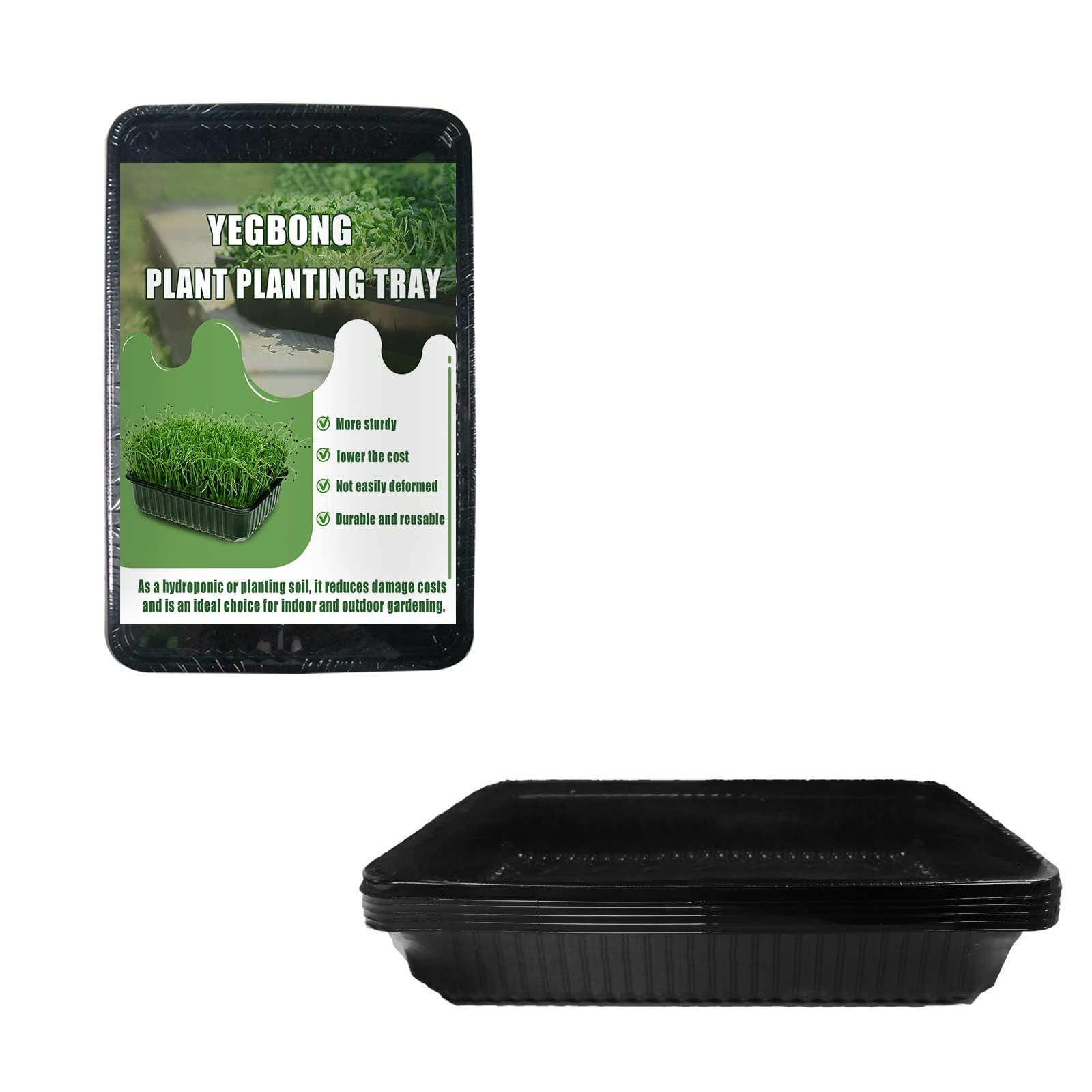 Mortilo Transplant Flower Trays - Seed Starter Kit for Vegetables, Herbs & Succulents | Durable Seedling Trays with Drainage Holes | Indoor Gardening Supplies for Home, Kitchen & Dining Decor (Large Size)