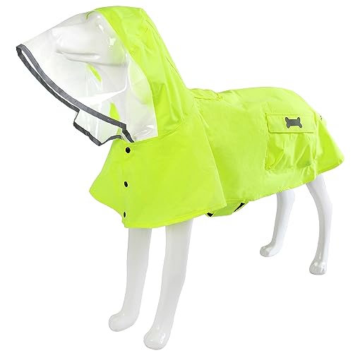 Fluorescent Green