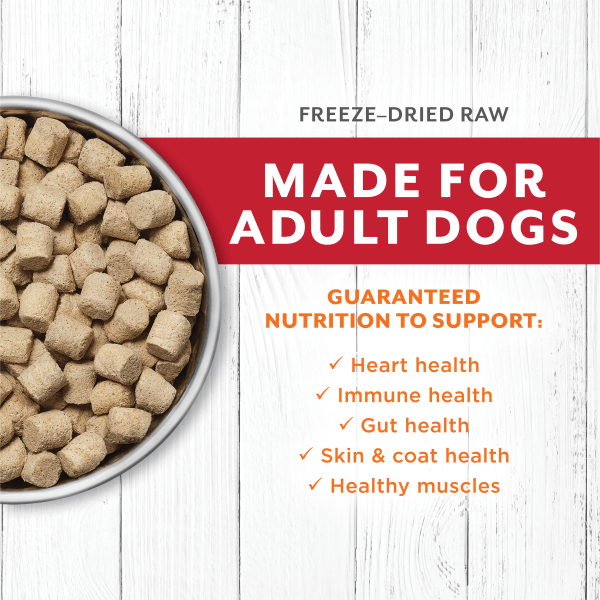 Instinct Raw Longevity Beef & Cod Recipe 100% Freeze Dried Dog Food - 9.5oz | Grain-Free, High Protein Kibble for Senior Dogs | Perfect for Mealtime & Training Treats