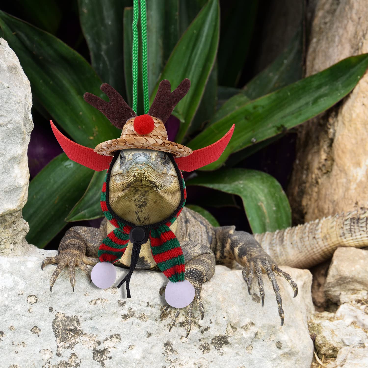 Bearded Dragon Christmas Costume Set - Santa Hat, Scarf & Leash for Reptile Holiday Cosplay (Green & Red) - Perfect for Festive Pet Photos