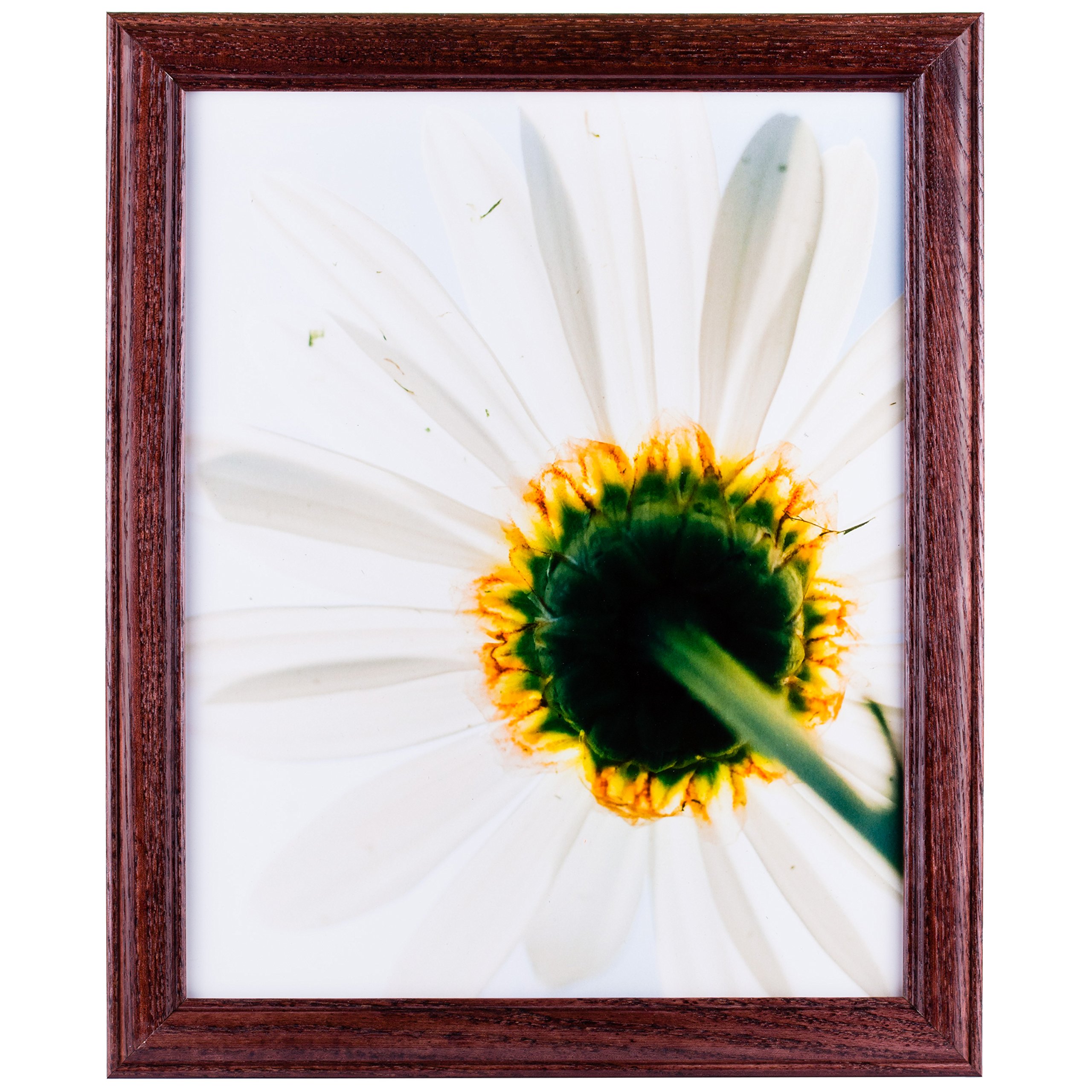 Craig Frames Wiltshire 236 - 4x6 Inch Red Hardwood Picture Frame for Photos, Artwork & Certificates - Perfect for Home Decor, Office Display & Gift Giving