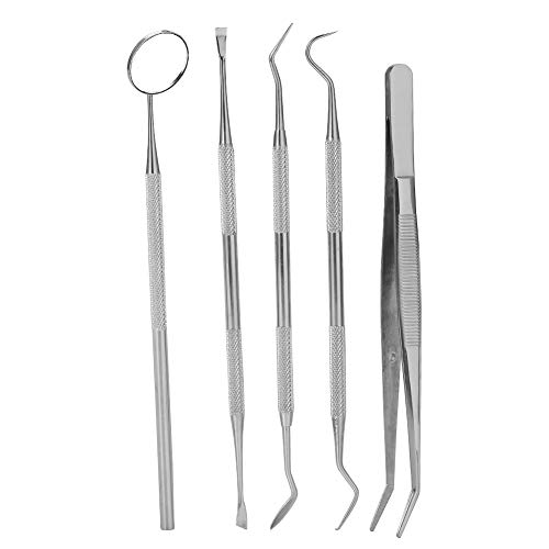 Professional 5Pcs Stainless Steel Dental Tools Set - Dentist Explorer Probe Kit for Teeth Cleaning & Hygiene Examination | Portable Carrying Case Included | Perfect for Home Dental Care & Oral Health Maintenance