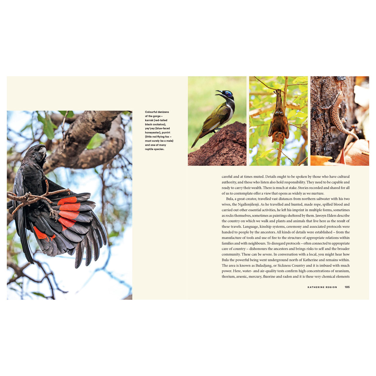 Loving Country: A Sacred Guide to Australia - Perfect for Travelers, Nature Lovers & Cultural Explorers