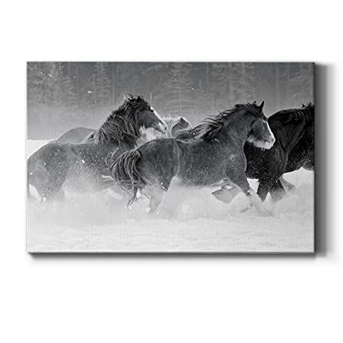 Winter Roundup (1)
