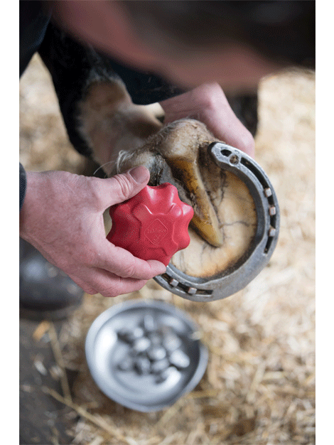 Le Mieux Safety Stud Tap - High-Quality Horse Riding Equipment for Equestrian Safety | Perfect for Dressage, Jumping & Trail Riding