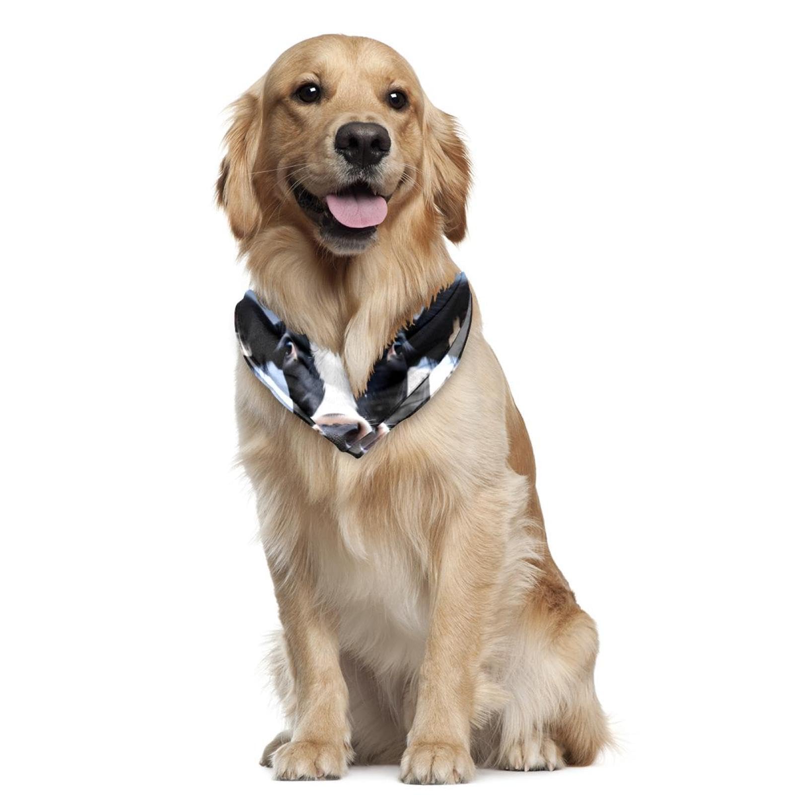 Premium Dog Bandanas for Small, Medium & Large Pets - 2-Piece Set with Cow Print Design - Comfortable Pet Scarves for Dogs & Cats - Perfect for Daily Walks, Pet Photos & Farm Visits
