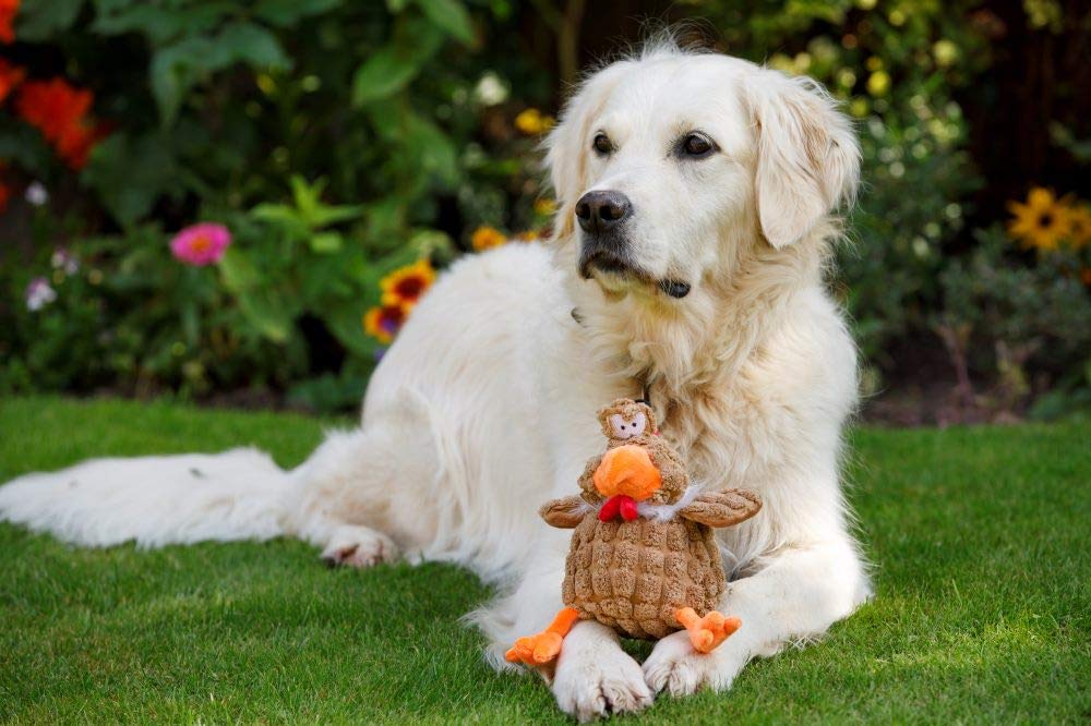 Farmyard Buddies Durable Chunky Chicken Dog Toy - Interactive Chew Toy for Small & Medium Dogs, Perfect for Playtime & Training