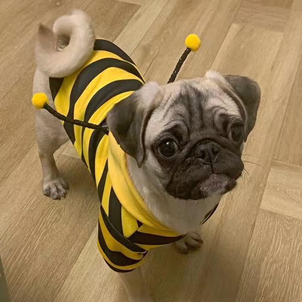 Funny Dog Hoodies & Cat Sweaters - Warm Pet Clothes for Small Dogs & Cats | Yellow Bee Costume for Halloween & Christmas | Cozy Puppy Hooded Coat for Winter Outfits (Large Size) - Perfect for Holiday Parties, Pet Photos & Cold Weather Protection