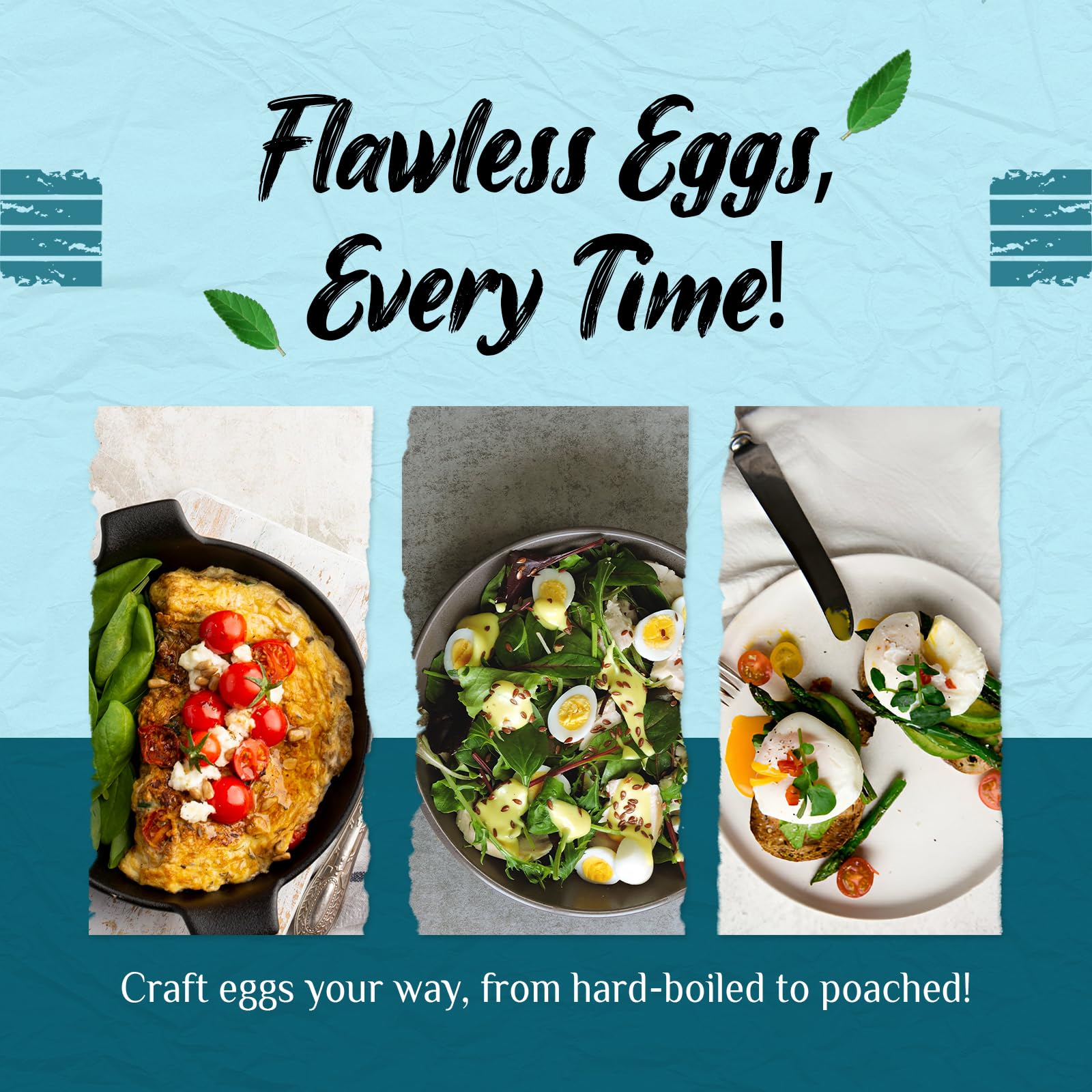4-in-1 Electric Egg Cooker - Boil 14 Eggs, Poach, Make Omelets & Steam Vegetables/Dumplings | Fast & Easy Breakfast Appliance | Perfect for Home, Office & Dorm Cooking | Royal Black