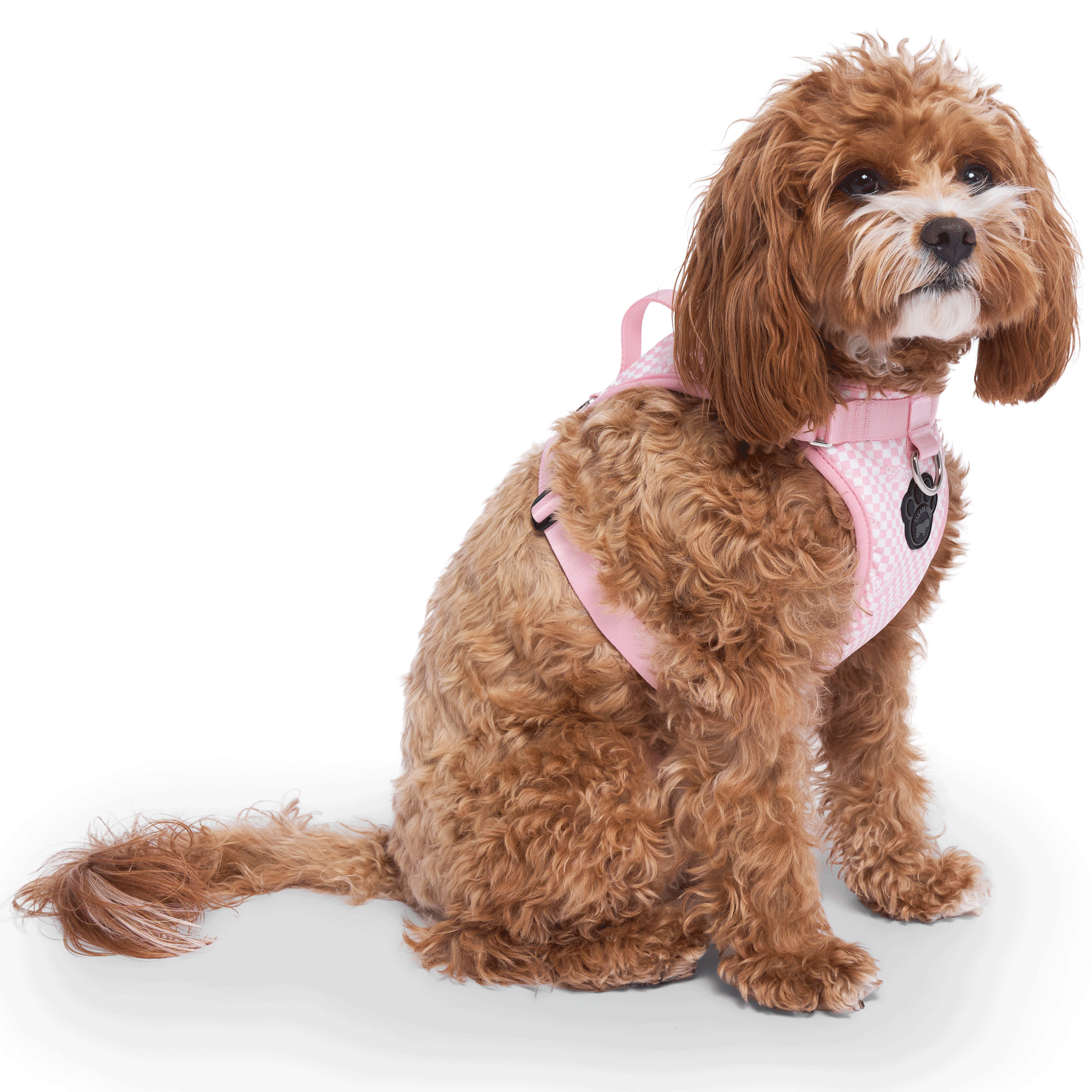 Barbie™ Everything Harness Checker - Adjustable Dog Harness for Small & Medium Dogs - Perfect for Walking, Training & Outdoor Adventures