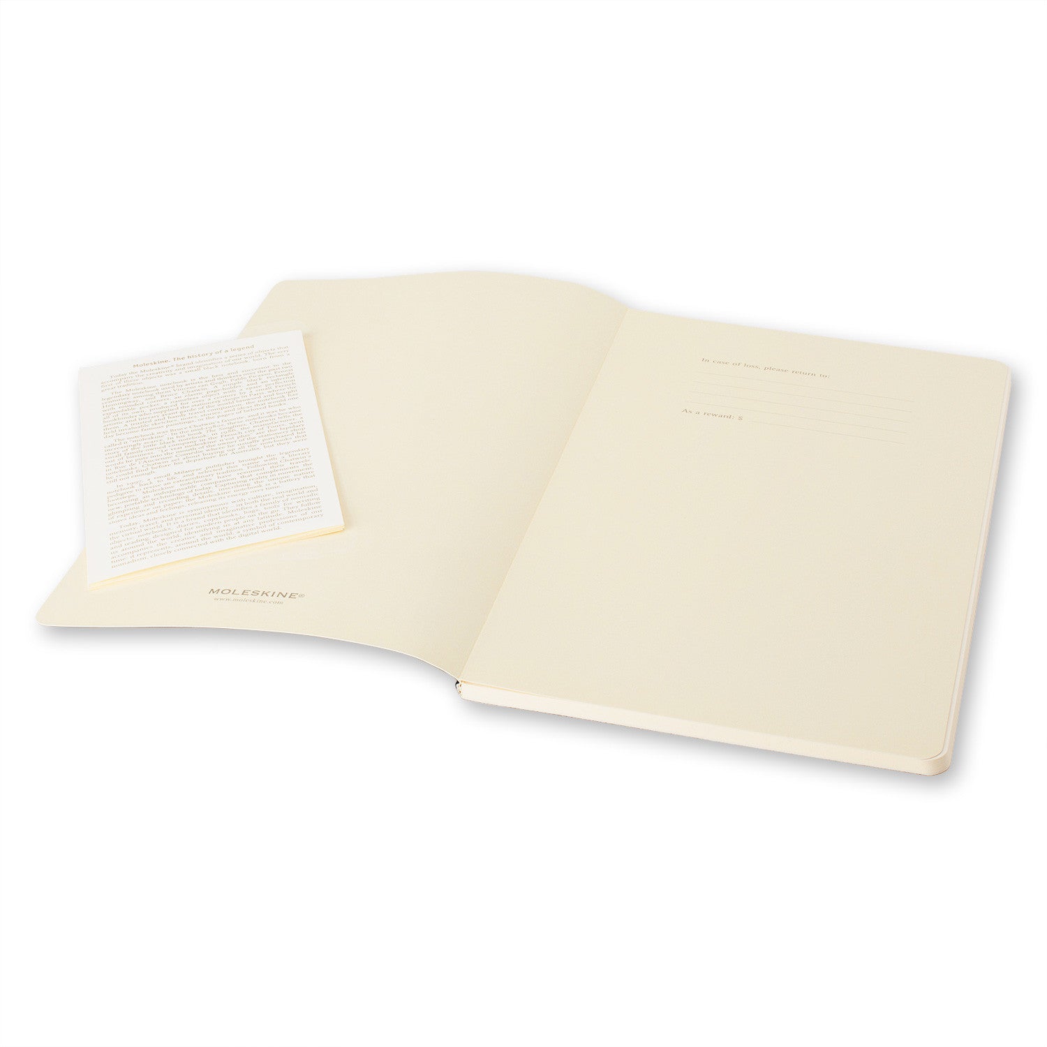 Premium Moleskine Volant Plain Notebook Set of 2 - Large Size (5