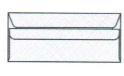 No. 10 Security Envelopes with Crosshatch Blue Tint - 4-1/8