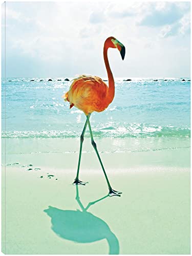 Flamingo on the Beach