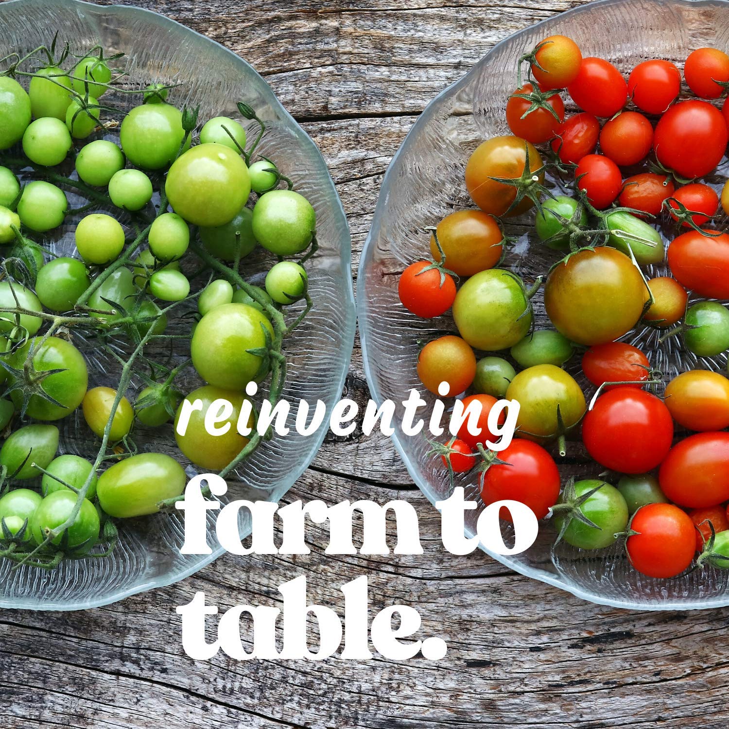 **Aunt Ruby's Green German Tomato Seeds - Non-GMO Heirloom, 4 Oz (~30,000 Seeds) - Solanum lycopersicum - Perfect for Home Gardens, Canning & Fresh Salads**