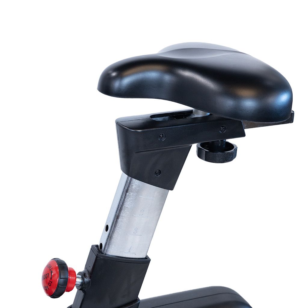 EFC B30 Upright Exercise Bike for Home Gym - Quiet Magnetic Resistance Indoor Cycling Bike with LCD Monitor - Perfect for Cardio Workouts & Weight Loss