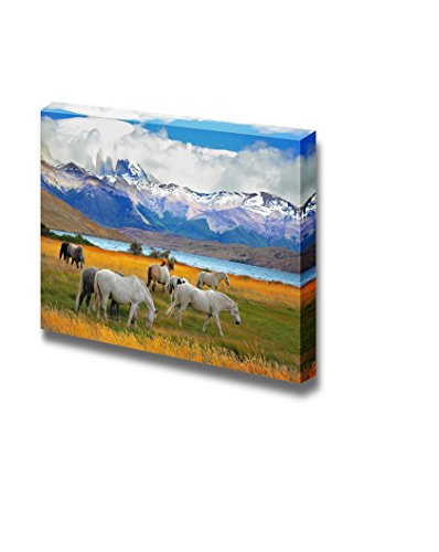 Gray Horse