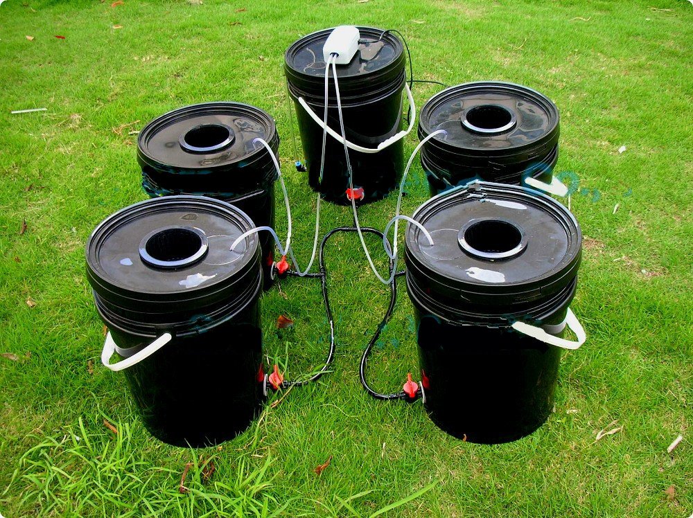 GOWE 4 Site Hydroponic Cloning Bucket - 20L Deep Water Culture (DWC) System for Plant Propagation - Perfect for Indoor Gardening, Herb Cultivation, and Hydroponic Seed Starting
