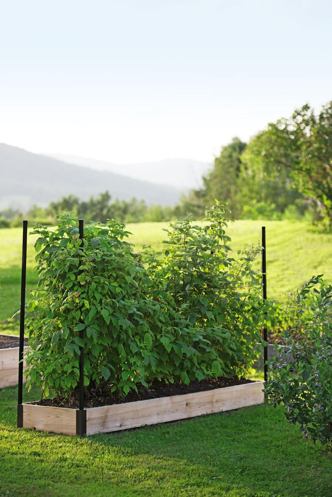 Raised Garden Bed Kit for Raspberries - Durable Outdoor Gardening Planter Box with Easy Assembly - Perfect for Backyard, Patio, and Small Space Gardening