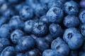 Fresh Blueberries 10oz Pint - Organic, Non-GMO, Antioxidant-Rich Superfruit - Perfect for Smoothies, Baking & Healthy Snacks