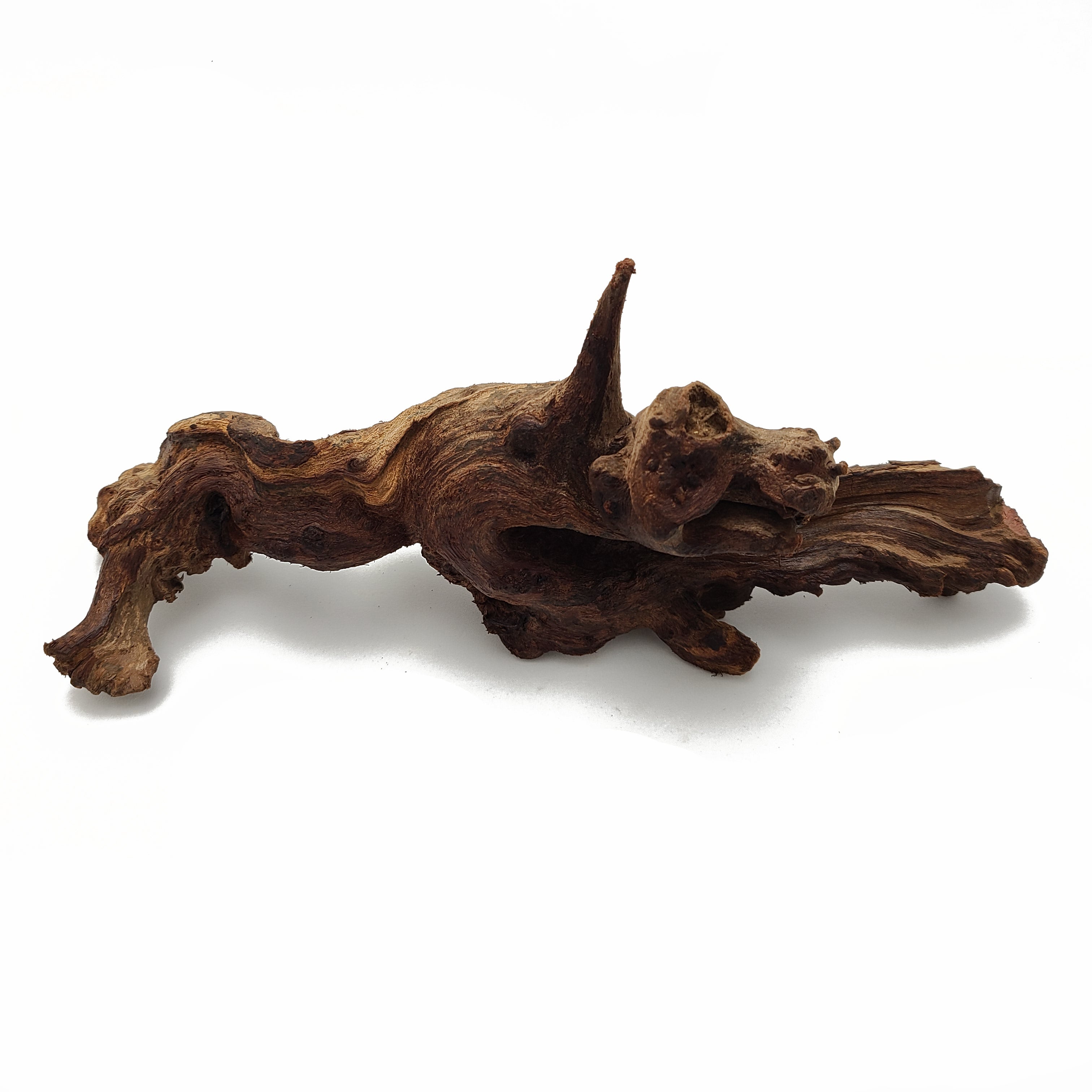 Premium Aquarium Driftwood for Aquascaping - Natural Hardwood 8 to 12 Inches - Perfect for Fish Tanks, Reptile Habitats & Terrarium Decor